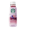 סטארבקס Starbucks משקה תה אודמניות ותות 330 מ