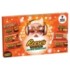Reese's - מארז ריסס בטעמים מגוונים , 293g