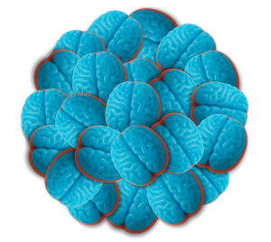 האלווין - גומי מוח 1 ק