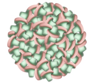 טרנד הגומי השוודי - פטריות - 200 גרם