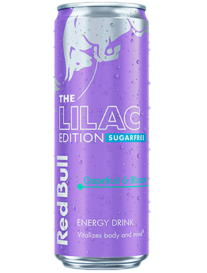 רד בול משקה אנרגיה אשכוליות ללא סוכר