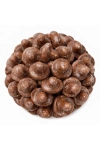 גומי שוודי פטריות מצופות שוקולד