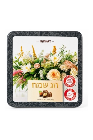 שוקולד 
